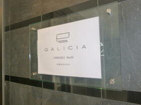 13/13 その他画像