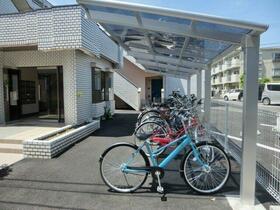 15/19 その他画像