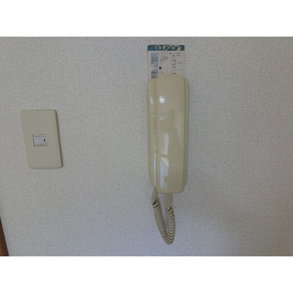 11/15 その他画像