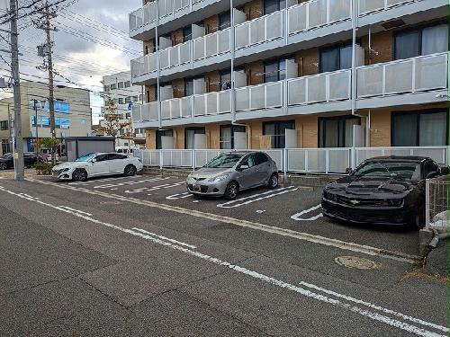 11/19 その他画像