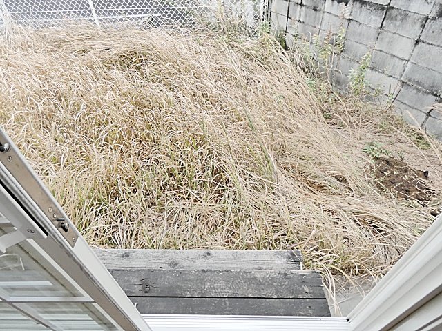 24/27 その他画像