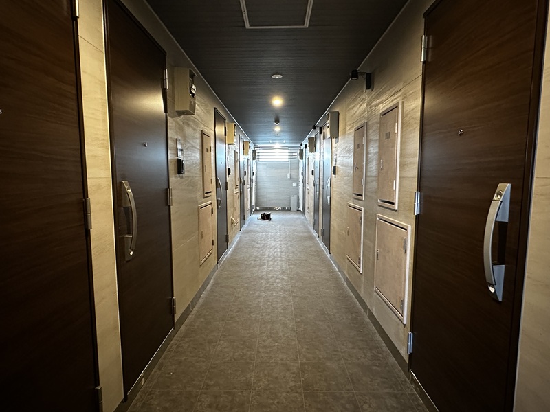 11/15 その他画像