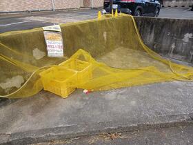 15/16 その他画像