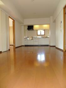 5/11 その他画像