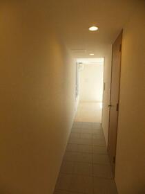 11/11 その他画像