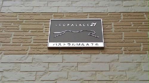 8/14 その他画像