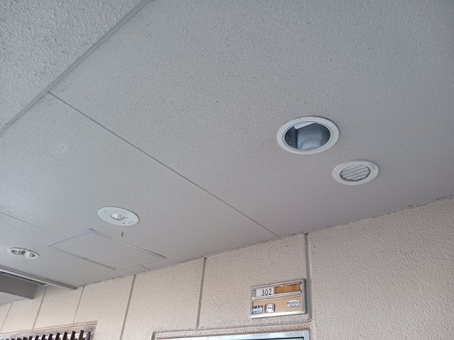 10/20 その他画像