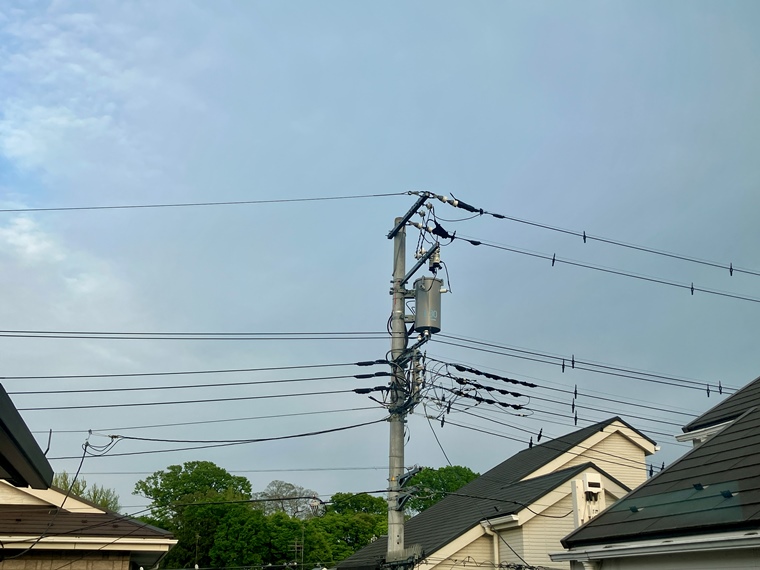 15/19 その他画像