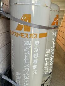 5/16 その他画像