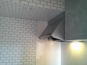 4/11 その他画像