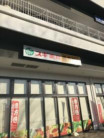 13/14 その他画像