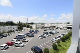 13/17 その他画像