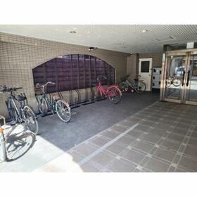 5/11 その他画像