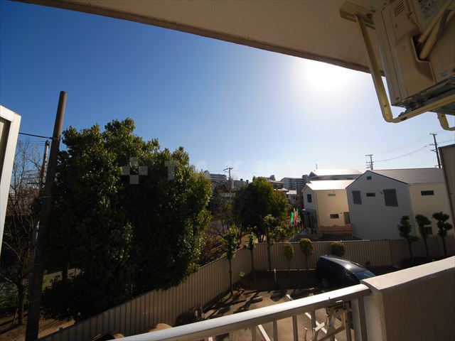 15/16 その他画像