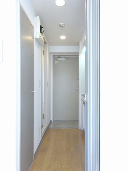 11/15 その他画像