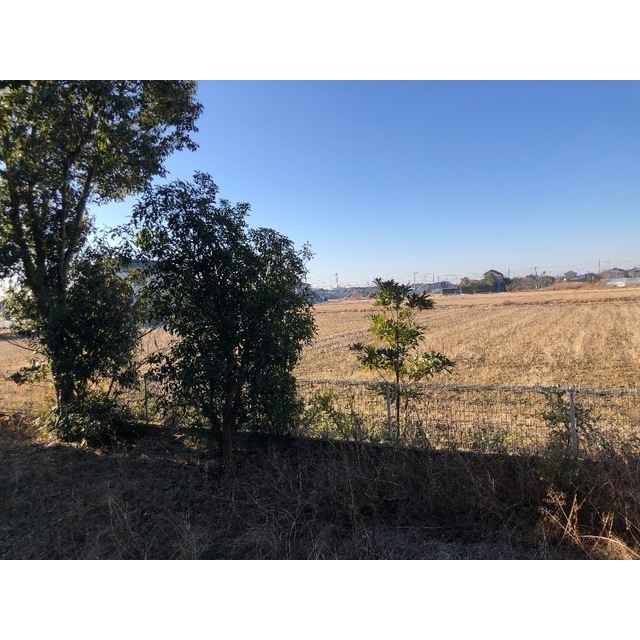 14/17 その他画像