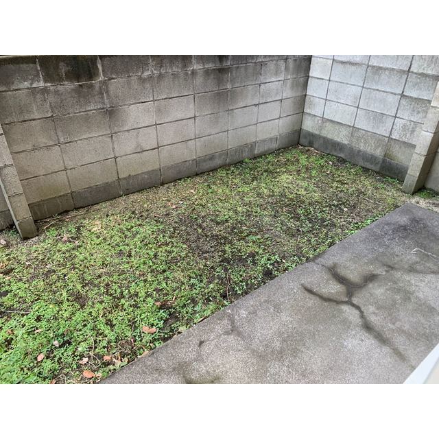 19/25 その他画像