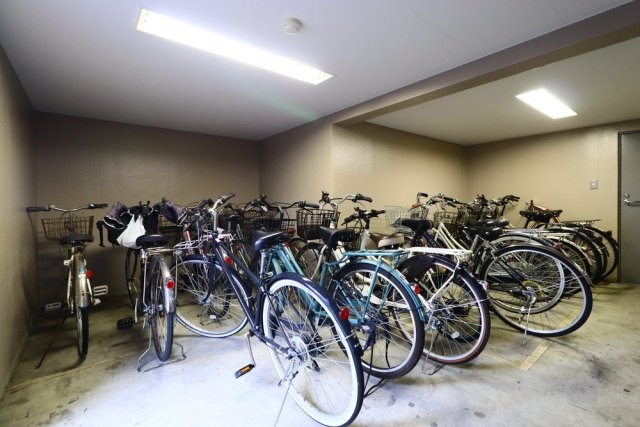 5/16 その他画像