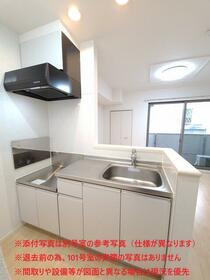 3/16 その他画像