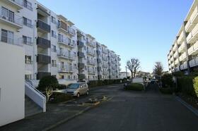 3/16 その他画像