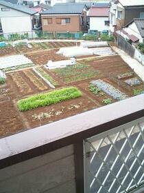 15/16 その他画像