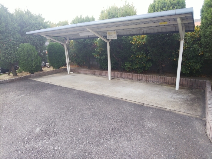 15/19 その他画像