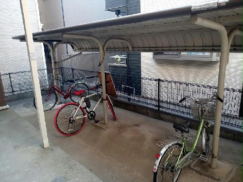 11/14 その他画像