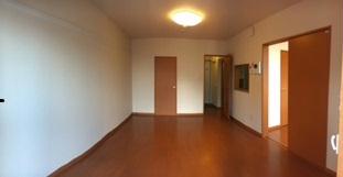 11/11 その他画像