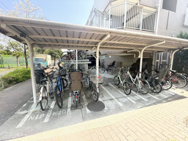 15/16 その他画像