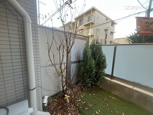 16/19 その他画像