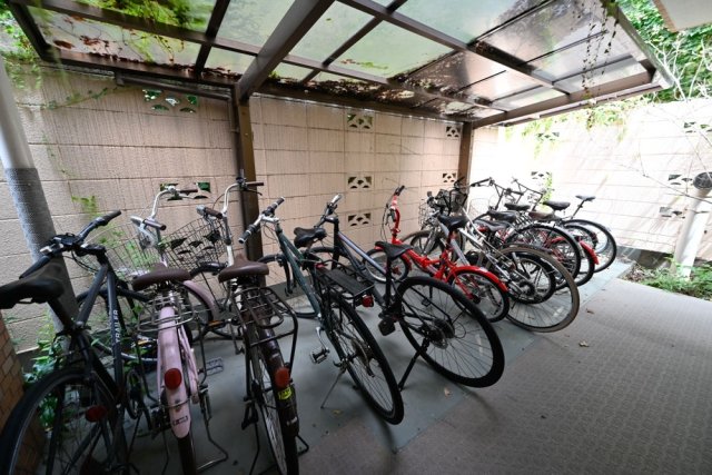 3/13 その他画像