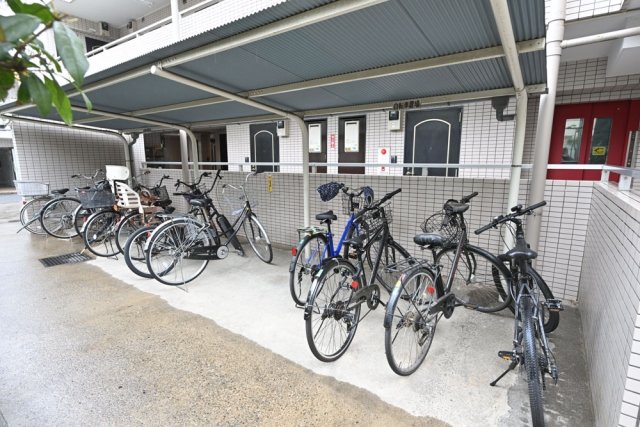 11/19 その他画像