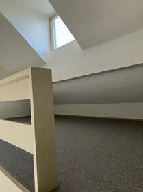 11/11 その他画像