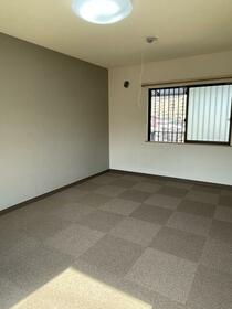 11/11 その他画像