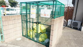 14/16 その他画像