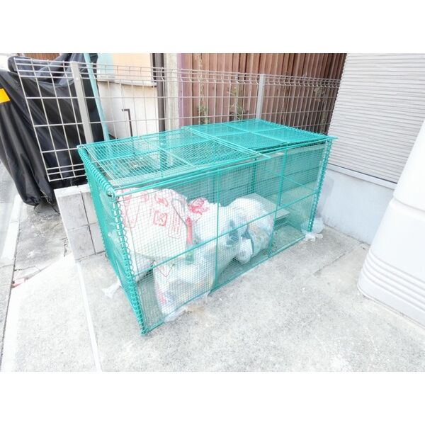 15/16 その他画像