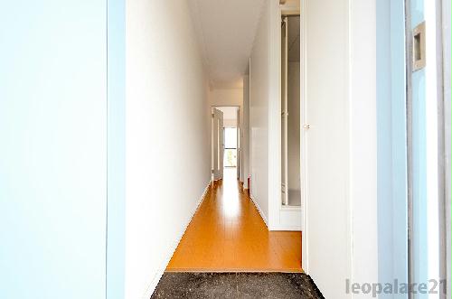 11/14 その他画像