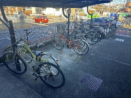 11/21 その他画像