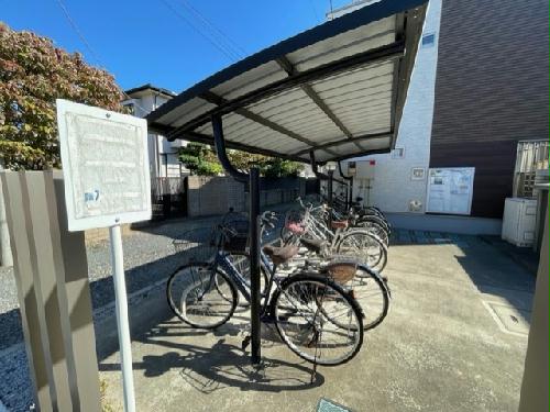 11/21 その他画像