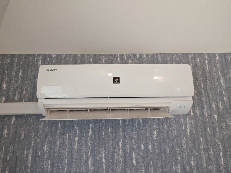 20/20 その他画像