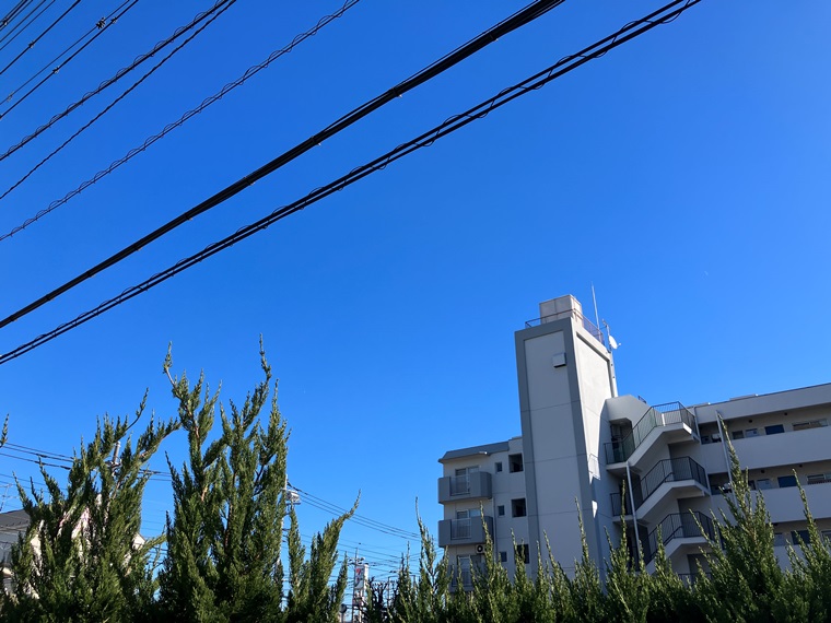 16/19 その他画像