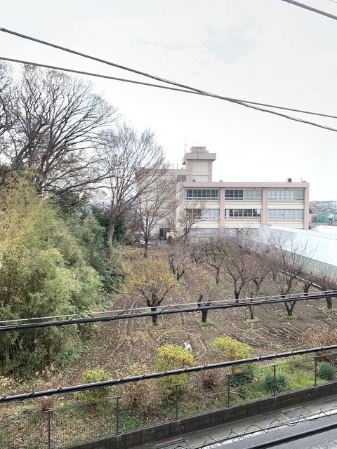 14/26 その他画像