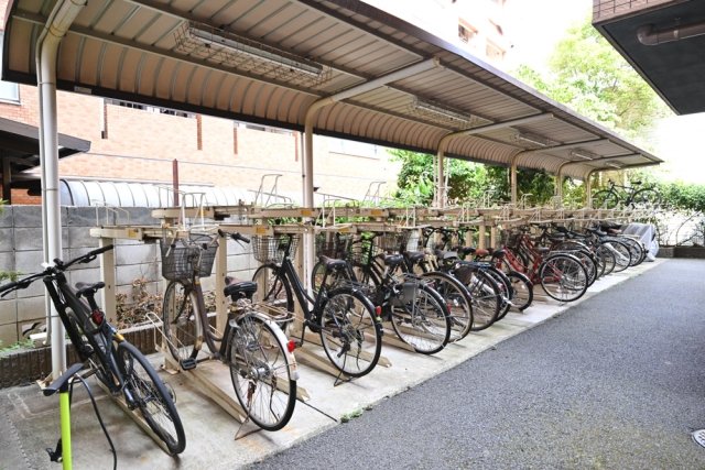 5/16 その他画像