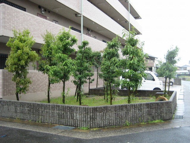 14/17 その他画像