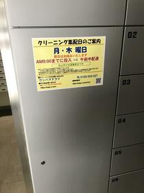 13/15 その他画像