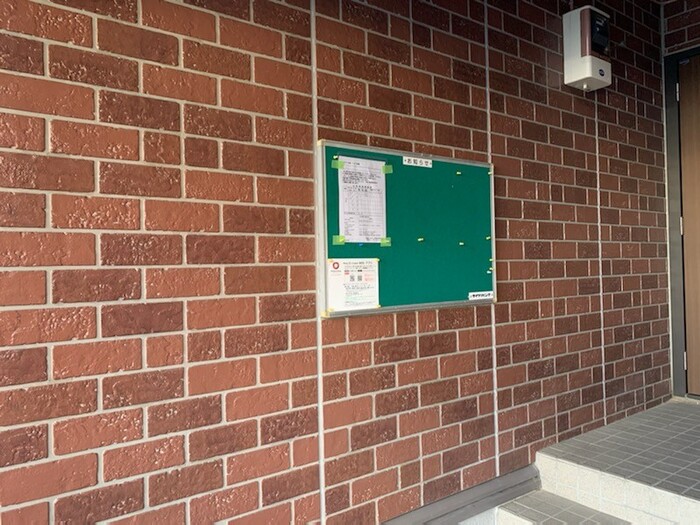 7/17 その他画像