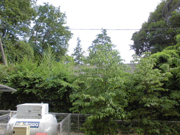 15/25 その他画像