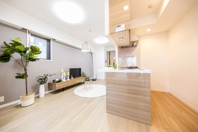 17/26 その他画像