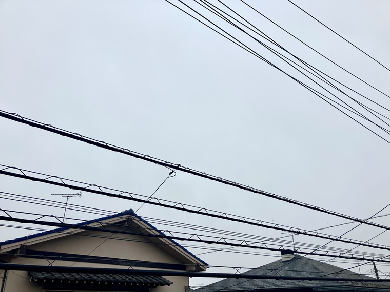 15/19 その他画像