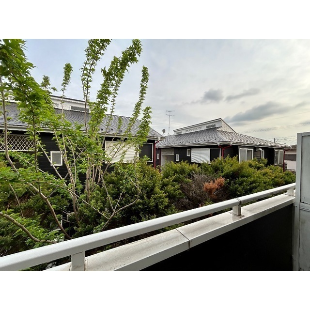 20/23 その他画像